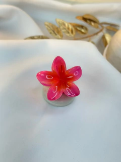 Piranha P hibisco tradicional PIMU12 na internet