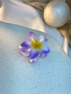 Piranha M Hibisco fundo branco PIAB01 na internet