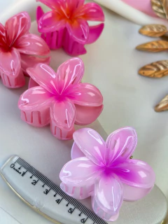 Piranha M hibisco tradicional PIMU15 na internet