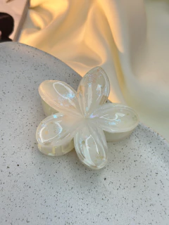 Piranha hibisco G candy PIMU14