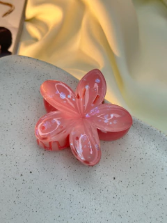 Piranha hibisco G candy PIMU14 na internet