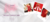 Carrusel Su Saly Lingerie