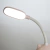 Imagen de VELADOR LECHUZA LUZ LED OVALADA