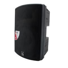 P521 (0165) Bafle Pasivo Plastificado 15" - comprar en línea