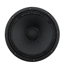 SN-10-300MB (0299) Bocina de 10"