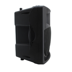 X-12P, Bafle Pasivo de 12" (0335) en internet