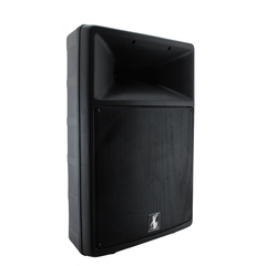 P525 Bafle Pasivo Plastificado HQ 15" 250 w (0337) - comprar en línea