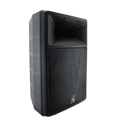 P525 Bafle Pasivo Plastificado HQ 15" 250 w (0337) - comprar en línea
