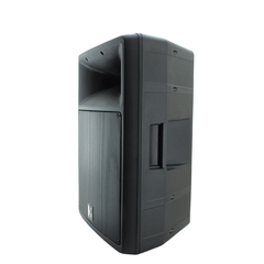 P520 Bafle Pasivo Plastificado 15" (0338) en internet
