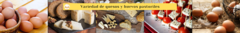 Banner de la categoría Frescos 