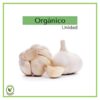 Ajo orgánico - 1 unidad