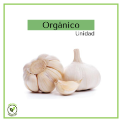 Ajo orgánico - 1 unidad