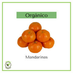Mandarinas orgánicas 500 grs (variedad okitsu) - comprar online