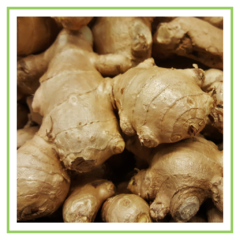jengibre agroecológico 100 grs - comprar online