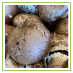 Hongos portobellos agroecológicos - 200 grs - comprar online