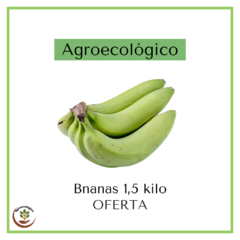 Bananas agroecológicas - 1,5 kilo para madurar en casa - PROMO
