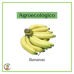 Banana agroecológica 500 grs - para madurar en casa