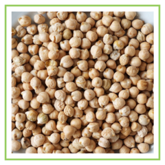 Garbanzo "Salve La Tierra" - 250 grs - fraccionado - comprar online