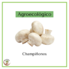 Hongos champiñones agroecológico - 200 grs