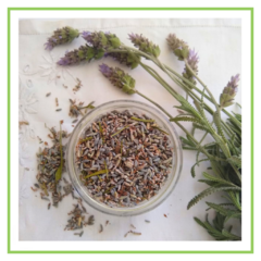 Lavanda en bolsita 16 grs - comprar online