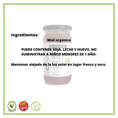 Miel orgánica "Pampa Gourmet" 440 grs en internet