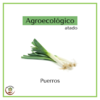 Puerro agroecológico atado - comprar online