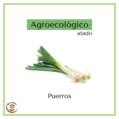 Puerro agroecológico 200 grs - atado - comprar online
