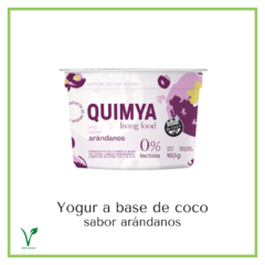 Yogur a base de coco de arándanos "Quimya" 170 grs - comprar online