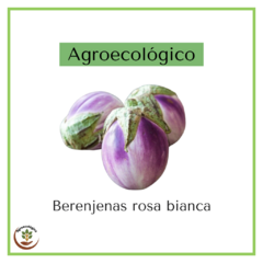 Berenjenas rosa bianca agroecologicas - 500grs - comprar online