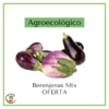 Berenjenas agroecológicas Mix 2 kilos - PROMO - comprar online