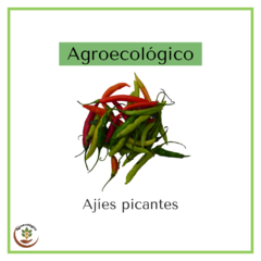 Ají picante agroecológico 100 grs en internet