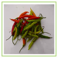 Ají picante agroecológico 100 grs - Los Teros Eco Huerta