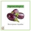 Berenjenas rayadas Agroecológicos - 500 grs