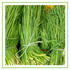 Ciboulette orgánico - atado - comprar online