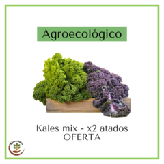 Kales verdes y morados - mix agroecológicos - x2 atados - PROMO