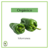 Morrón verde orgánico - 250 grs