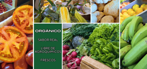 Imagen del carrusel Los Teros Eco Huerta