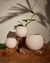Maceta Esfera - tienda online