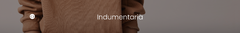 Banner de la categoría INDUMENTARIA