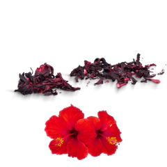 Roetiscos - Petiscos desidratados