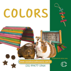 KIT COLORS - comprar online