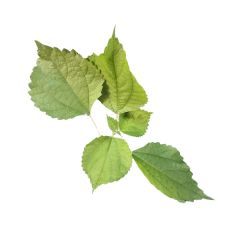 Roetiscos - Petiscos desidratados na internet