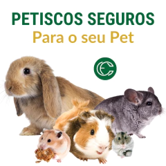 KIT FOOD BLACK FRIDAY na internet