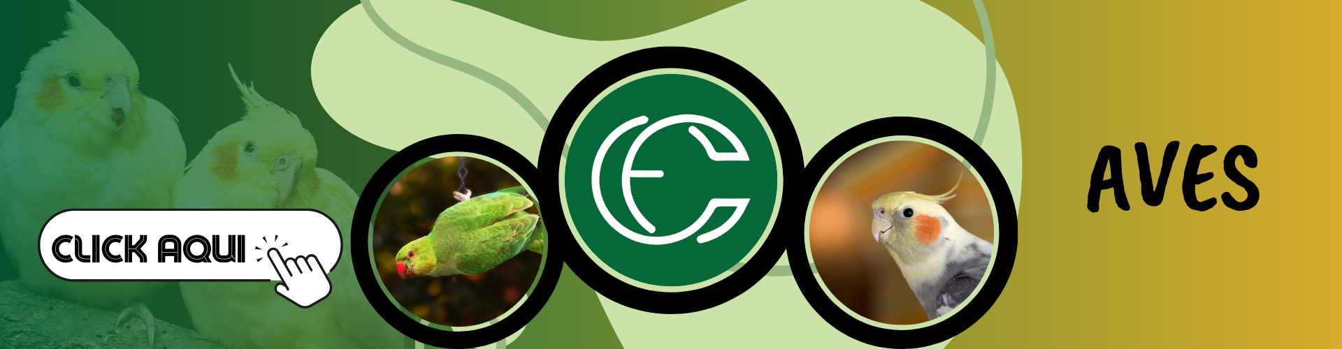 Imagem do banner rotativo Casa dos Coelhos e CIA