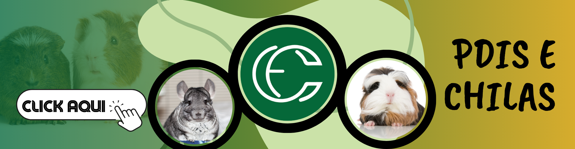 Imagem do banner rotativo Casa dos Coelhos e CIA