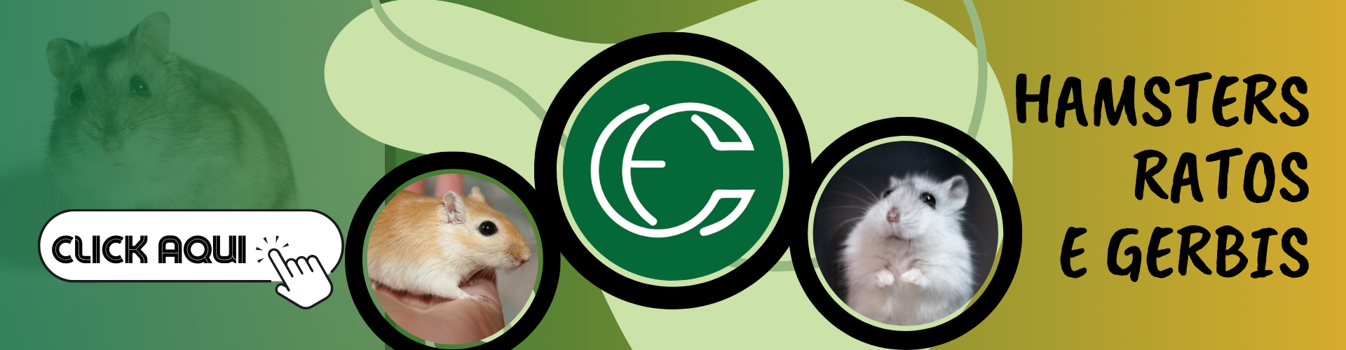 Imagem do banner rotativo Casa dos Coelhos e CIA