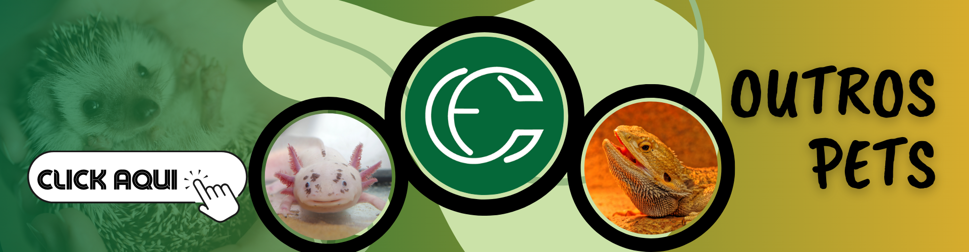 Imagem do banner rotativo Casa dos Coelhos e CIA