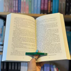 Anillo lector na internet