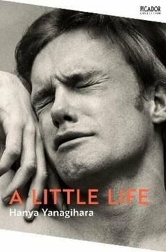 LITTLE LIFE,A - Picador UK