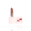 Fashion Lip Lapiz Labial (005)